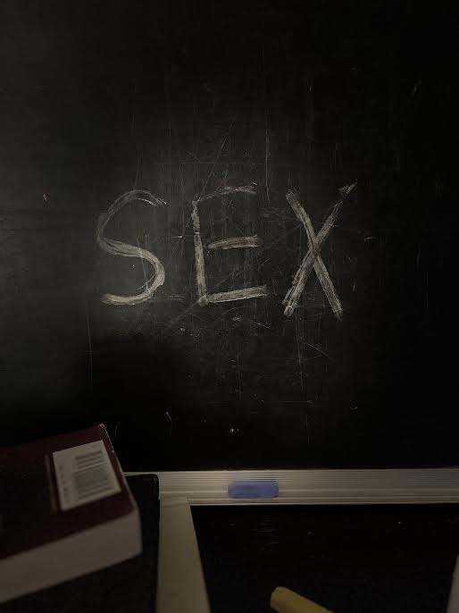 Beyond the Birds and the Bees: The Importance of Sex Education